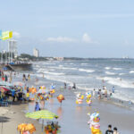 Images1815511 b i sau 2
